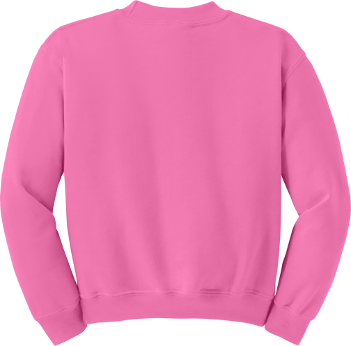 Youth Heavy Blend Crewneck Sweatshirt (BACK)
