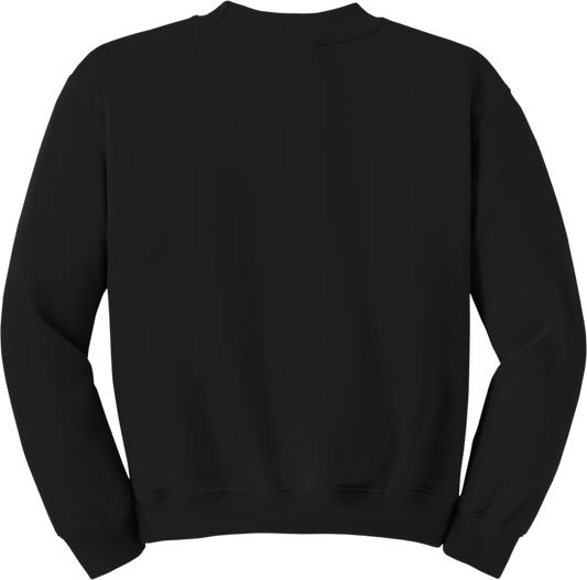 Youth Heavy Blend Crewneck Sweatshirt (BACK)