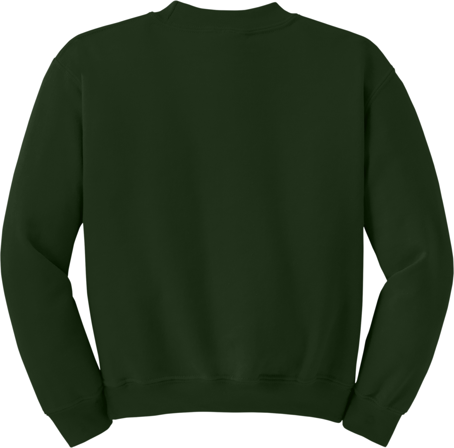 Youth Heavy Blend Crewneck Sweatshirt (BACK)