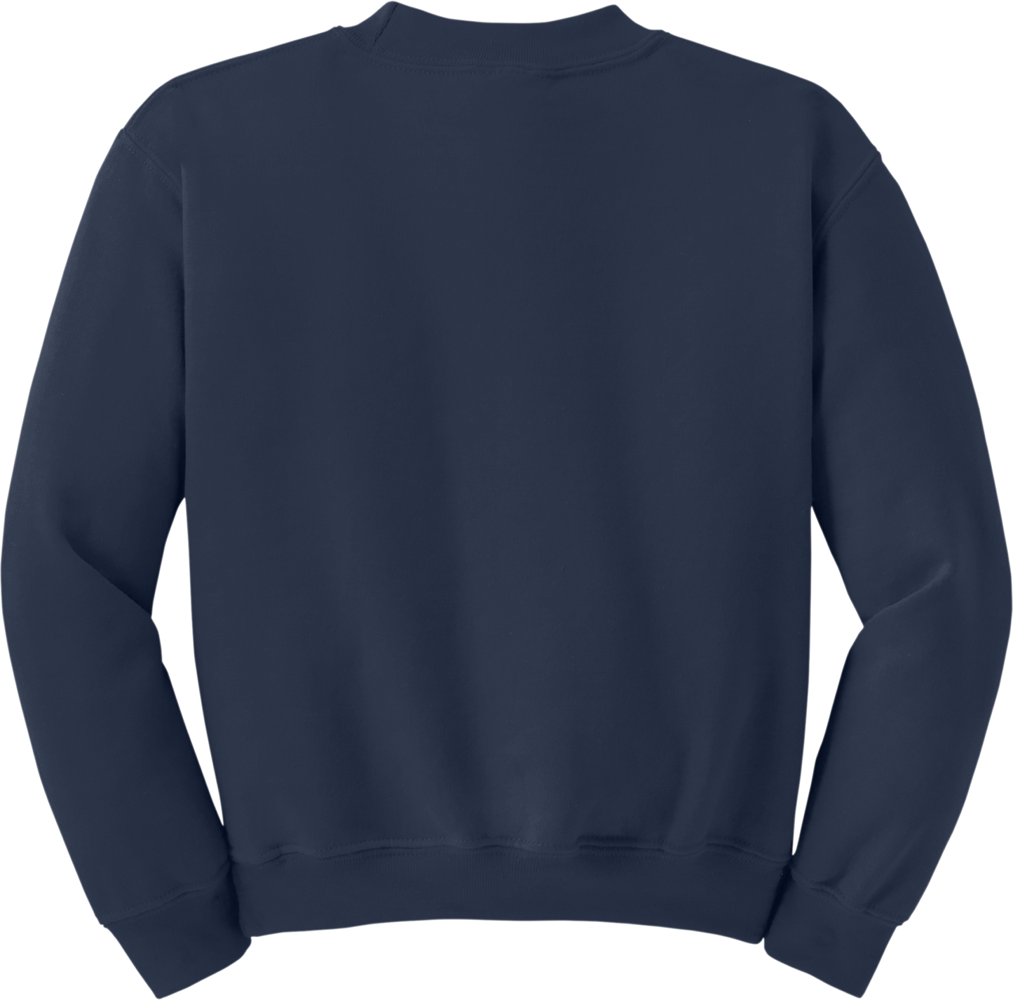 Youth Heavy Blend Crewneck Sweatshirt (BACK)
