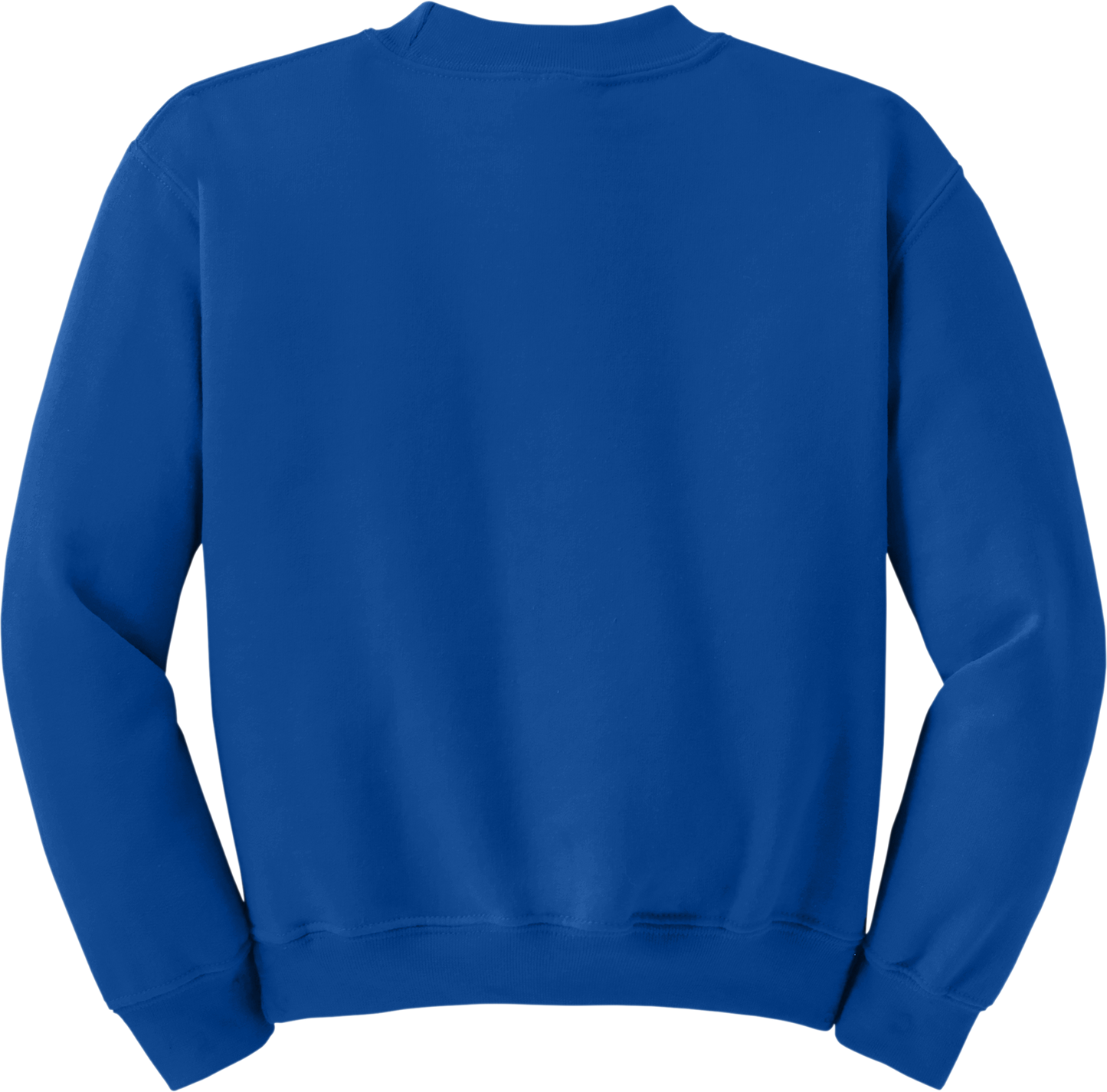 Youth Heavy Blend Crewneck Sweatshirt (BACK)