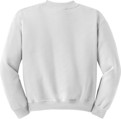 Youth Heavy Blend Crewneck Sweatshirt (BACK)